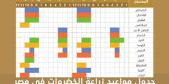 جدول مواعيد زراعة الخضروات في مصر