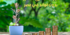 تمويل المشاريع الصغيرة بدون فوائد في مصر