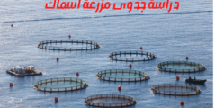 دراسة جدوى مزرعة أسماك | ما هي احتياجات مزرعة الأسماك والأدوات اللازمة للمشروع؟
