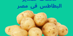 محطات تصدير البطاطس فى مصر